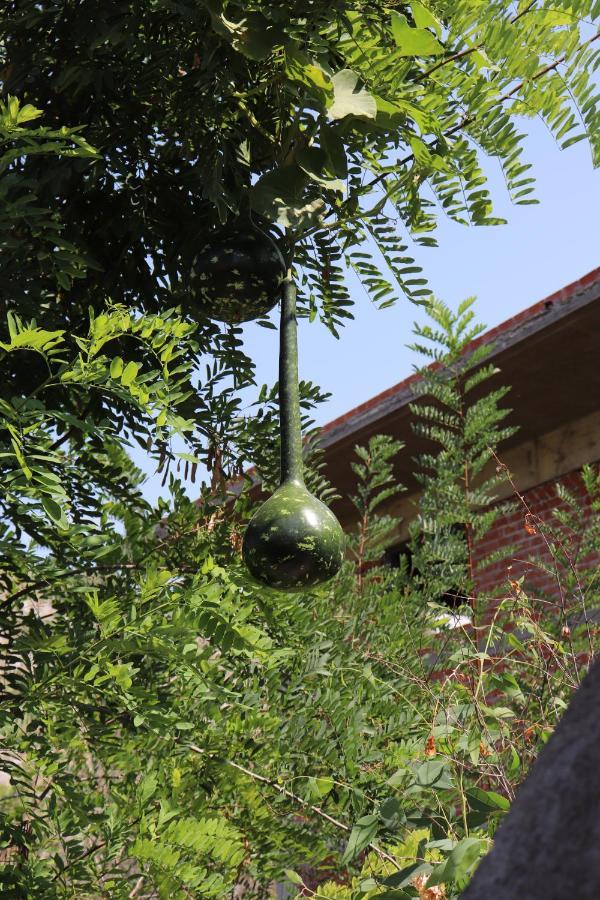 Farmahouse Agroturismo